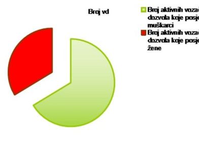INFORMACIJA O UKUPNOM BROJU AKTIVNIH I PROIZVEDENIH/IZRAĐENIH VOZAČKIH DOZVOLA U BIH U 2017. GOD.